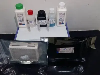 کیت تشخیص سرمی کووید 19 توسط محققان موسسه رازی ساخته شد