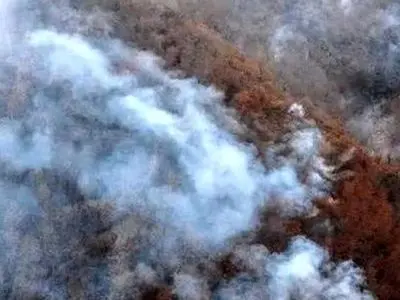 هواپیمایی‌هایی که از ترکیه آورده‌اند توانستند تا حدی آتش را مهار کنند/ امروز باید این وضعیت تمام شود