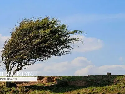 وقوع دوباره گرد و خاک در استان یزد/ احتمال سرمازدگی محصولات کشاورزی