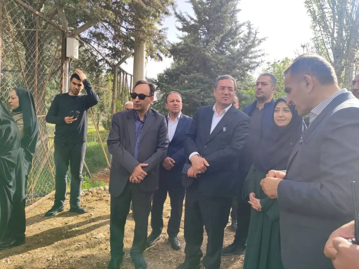 تاکید رییس سازمان محیط زیست بر حمایت از برنامه های صیانت و تکثیر گوزن زرد ایرانی