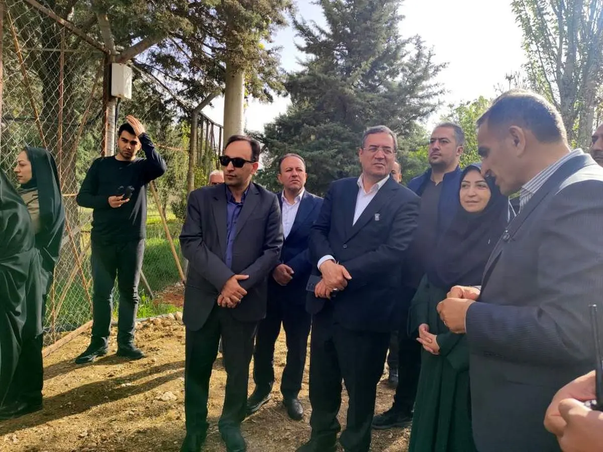 تاکید رییس سازمان محیط زیست بر حمایت از برنامه های صیانت و تکثیر گوزن زرد ایرانی