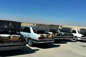 فوت ۳۵۸ نفر بر اثر حوادث مرتبط با خودروهای شوتی