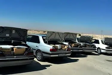 فوت ۳۵۸ نفر بر اثر حوادث مرتبط با خودروهای شوتی