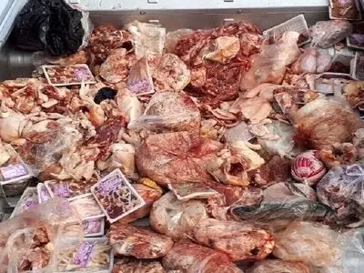 کشف 3 تن گوشت فاسد در شهرستان بابل