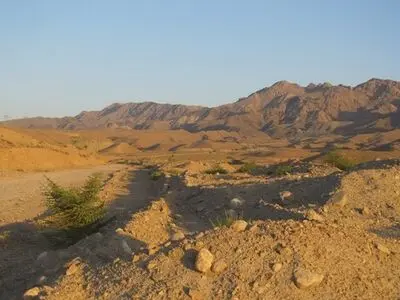 کشف یک سکونتگاه ۵۰ هکتاری از دوره اشکانی در هرمزگان 