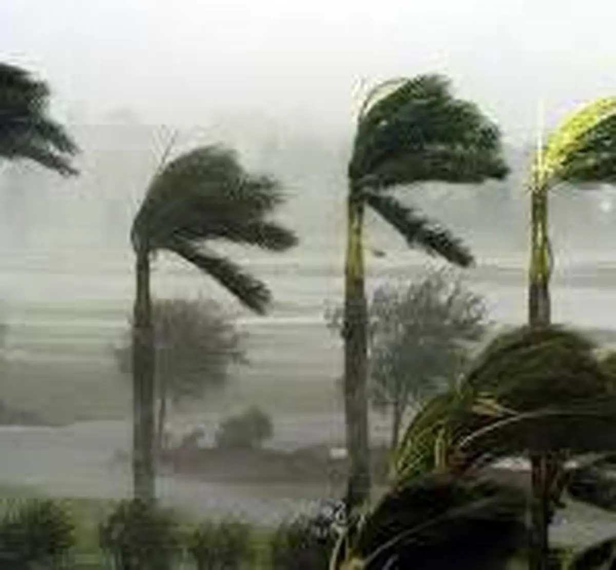 باد یک هواپیما را در آمریکا واژگون کرد + فیلم