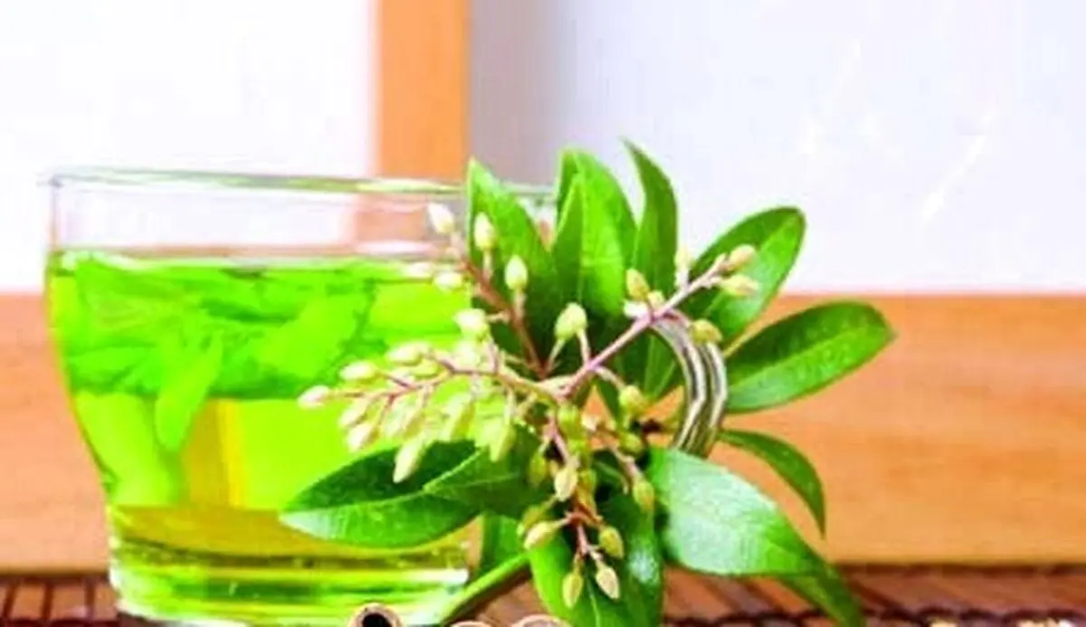دمنوش‌های مناسب برای فصل پاییز
