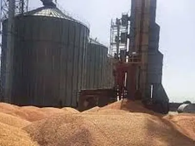 الصوامع الایرانیة تتسلم 4.5 ملیون طن قمح محلی