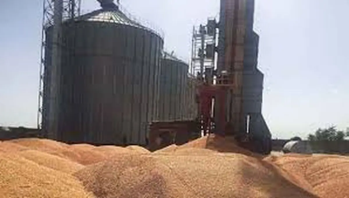 مرگ دلخراش دو کارگر در سقوط به سیلوی سویا
