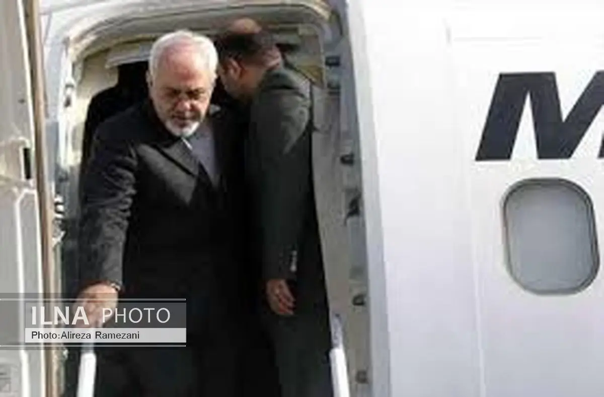 ظریف وارد تهران شد