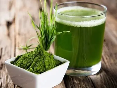 جلبک اسپیرولینا چیست و چه کاربردی دارد