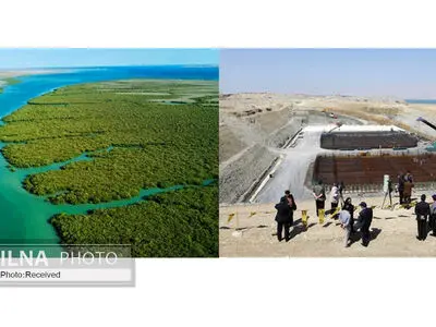 ارزیابی زیست‌محیطی "پل خلیج فارس" از ۶ سال پیش بلاتکلیف مانده است/ تاثیر منفی اجرای پروژه بر "جنگل‌های حرا"!