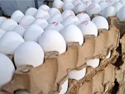 ۳۰۰۰ کارتن تخم مرغ از مرزهای آذربایجان غربی وارد کشور شد 
