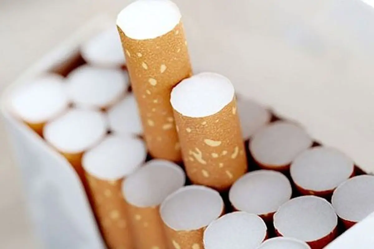 اعضای یک باند قاچاق سیگار به ۱۰ سال حبس محکوم شدند