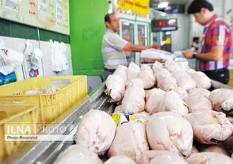 کاهش قیمت مرغ به ۸۰ هزار تومان/ مازاد عرضه داریم 

