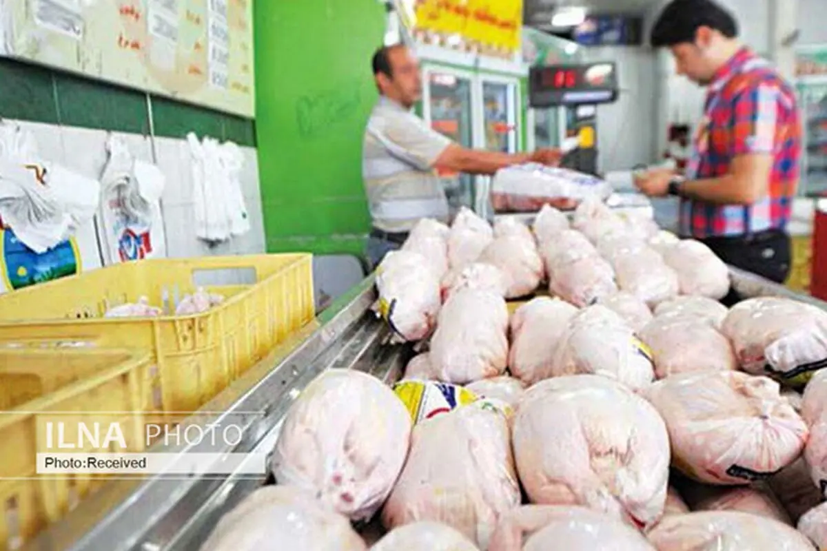 آخرین قیمت مرغ و تخم مرغ اعلام شد 