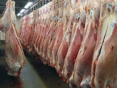 انتقاد از وضعیت کشتار دام در تنها کشتارگاه بردسکن