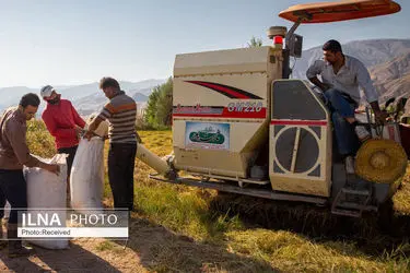ورود ۲۱ هزار مددجوی کمیته امداد به ذیل پوشش بیمه اجتماعی کشاورزان