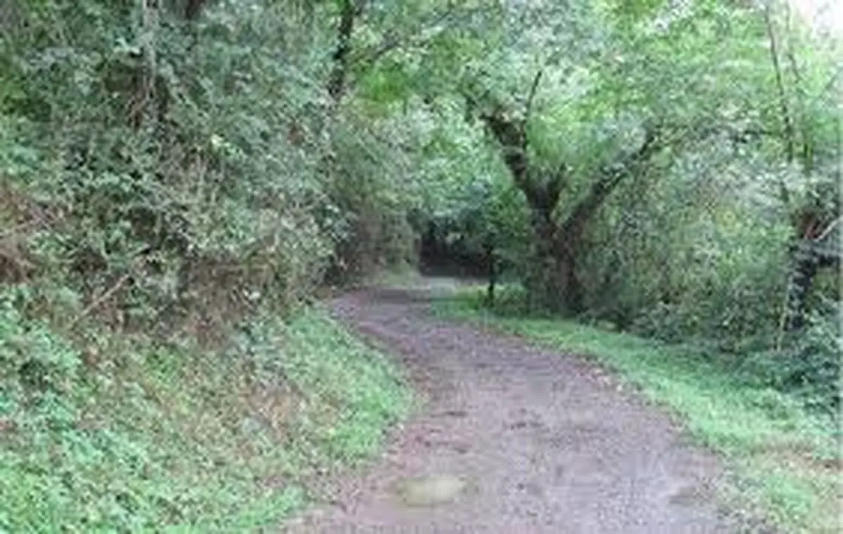 غروب زیبا در روستای تازه آباد نرکه + فیلم