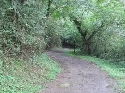 غروب زیبا در روستای تازه آباد نرکه + فیلم