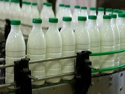 53 مرکز مجوزدار جمع‌آوری شیر در آذربایجان غربی فعال هستند