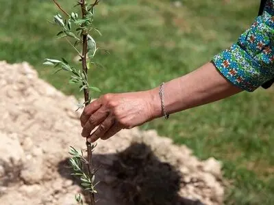 تشریح سه هدف اصلی از کاشت یک میلیارد درخت در ایران/ توزیع رایگان نهال در حاشیه راهپیمایی ۲۲ بهمن در سراسر کشور 