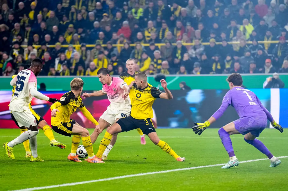 زنبورها با شکست مقابل لورکوزن جذف شدند