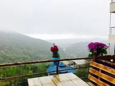 5 نکته طلایی هنگام اجاره ویلا جنگلی در رامسر