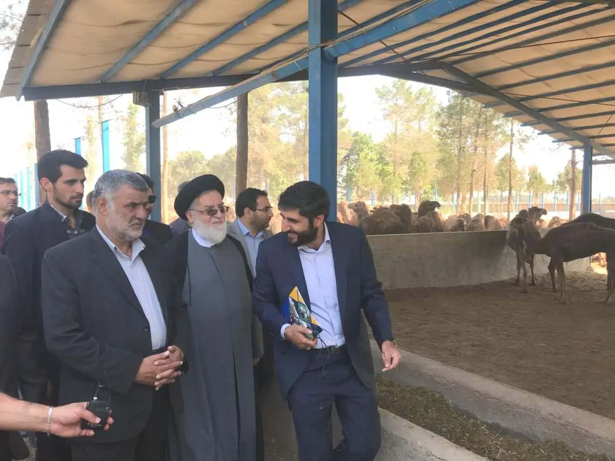 تولید محصولات پروتئینی در کشور و درآمد روستائیان با توسعه دامپروری نوین افزایش می یابد