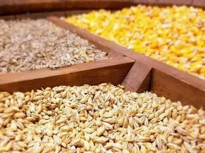 پشت پرده بحران نهاده‌های دامی؛ از سوءمدیریت در صدور مجوزها تا کاهش بودجه ارزی
