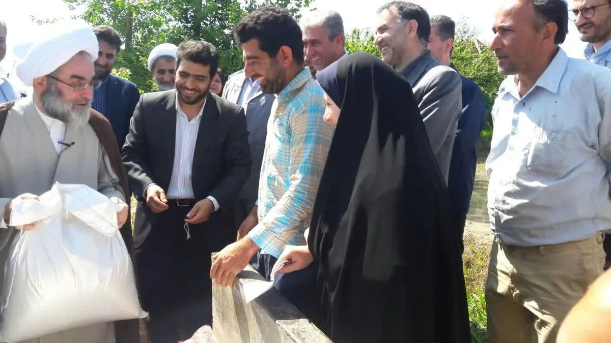 مسئولان تسهیلاتی برای بیمه محصولات کشاورزی قائل شوند/ لزوم جلوگیری از واردات بی رویه برنج/ نرخ فروش برنج در بازار با نرخ خریداری شده از کشاورز همخوانی ندارد