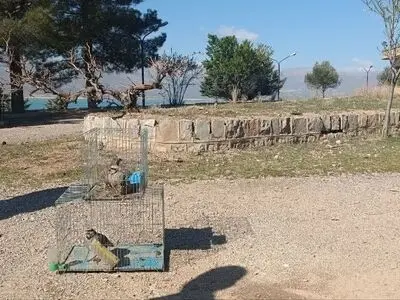 دستگیری متخلفان زنده‌گیری پرندگان و صید غیرمجاز ماهی در مرودشت