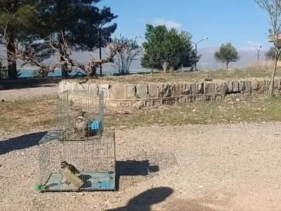 دستگیری متخلفان زنده‌گیری پرندگان و صید غیرمجاز ماهی در مرودشت