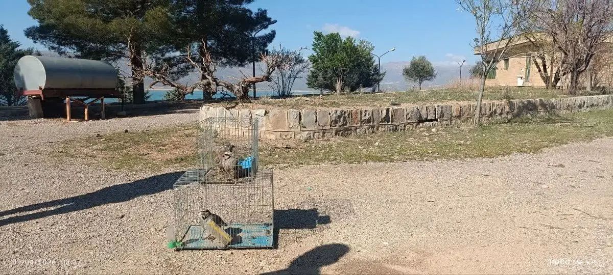 دستگیری متخلفان زنده‌گیری پرندگان و صید غیرمجاز ماهی در مرودشت