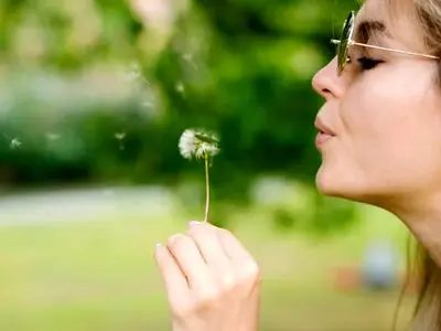 گل قاصدک برای چی خوبه؟ 