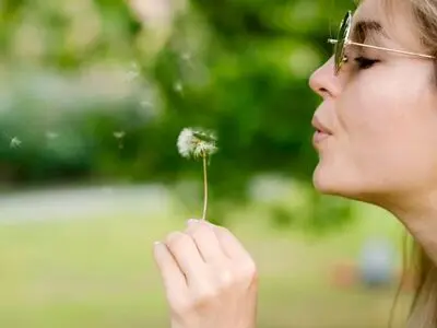 گل قاصدک برای چی خوبه؟ 