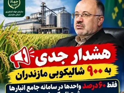 هشدار جدی به ۹۰۰ شالیکوبی مازندران / فقط ۶۰ درصد واحدها در سامانه جامع انبارها ثبت‌نام کردند