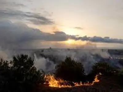 مهار آتش‌سوزی منطقه حفاظت شده تالاب میانکاله 