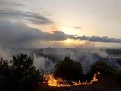 مهار آتش‌سوزی منطقه حفاظت شده تالاب میانکاله 