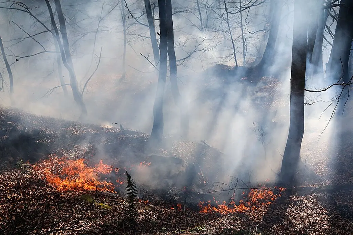 آتش سوزی در ارتفاعات نیلکوه تحت کنترل است