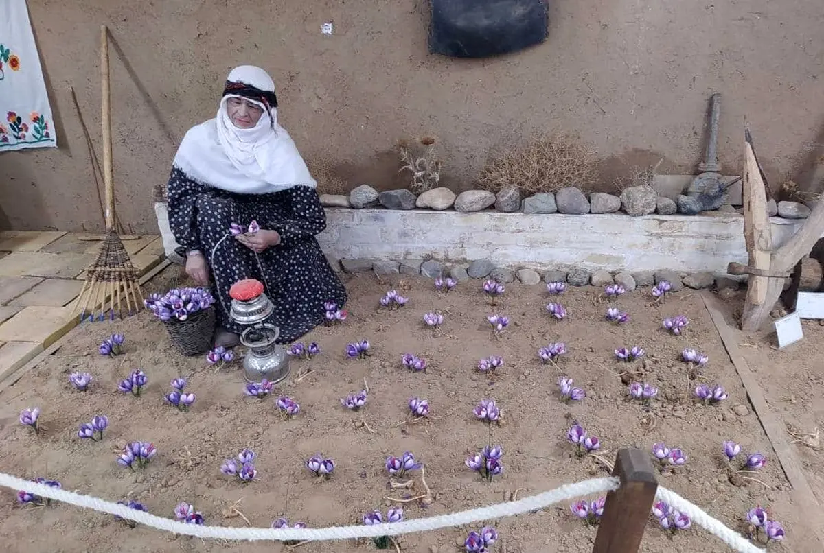 مجوز نخستین موزه زعفران کشور در تربت حیدریه صادر شد