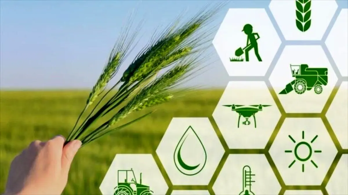 استقرار نظام نوآوری در بخش کشاورزی با استفاده از فناوری‌های راهبردی