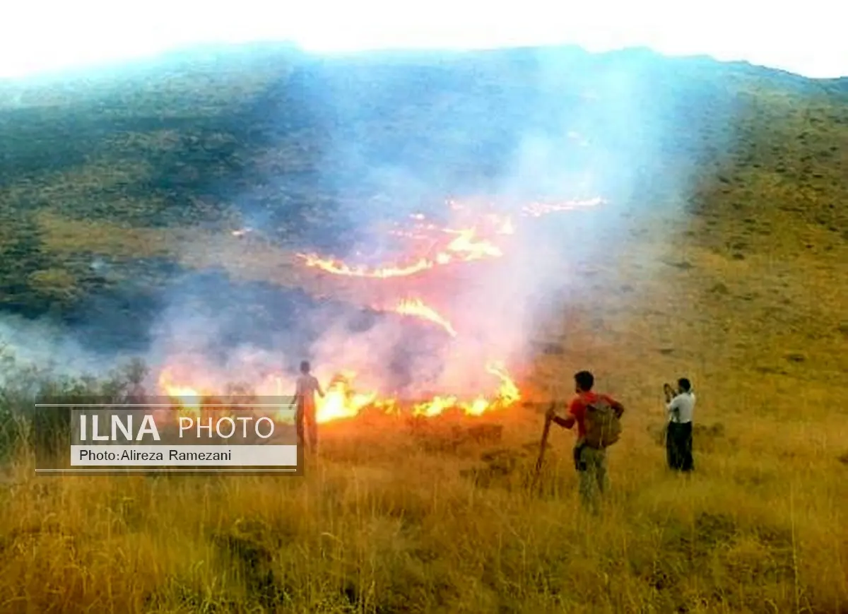 مهار آتش‌سوزی جنگل‌های ساری/ آتش‌سوزی در مراتع کلاردشت ادامه دارد