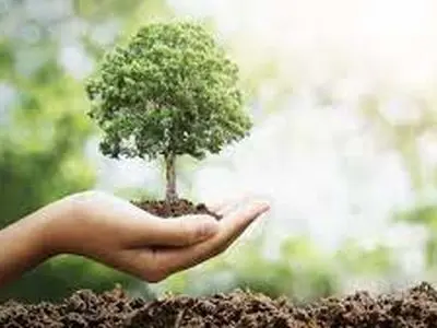 لزوم اجرای طرح مردمی کاشت درخت در شهرهای صنعتی 