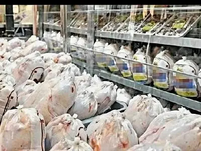 توزیع ۲ تن مرغ منجمد در سرخ‌رود 