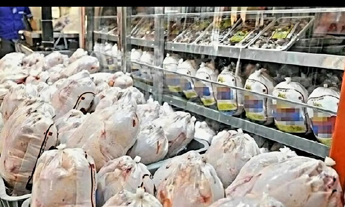 توزیع ۲ تن مرغ منجمد در سرخ‌رود 