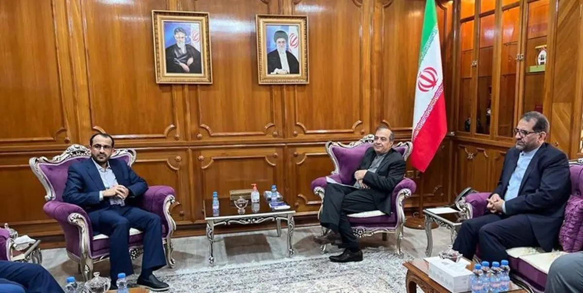 دیدار خاجی با مذاکره‌کننده ارشد دولت نجات ملی یمن
