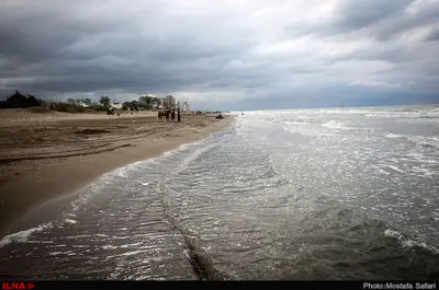 سقوط شتابان تراز آب خزر؛ کاهش زادآوری ماهیان و محدودیت فعالیت بنادر