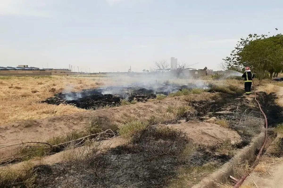 آتش‌سوزی در حاشیه جاده مخصوص