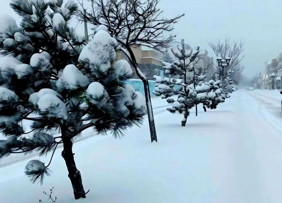 هواشناسی مازندران نسبت به وقوع سیلاب، کولاک برف و یخبندان هشدار داد